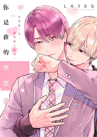你是我的理想男友