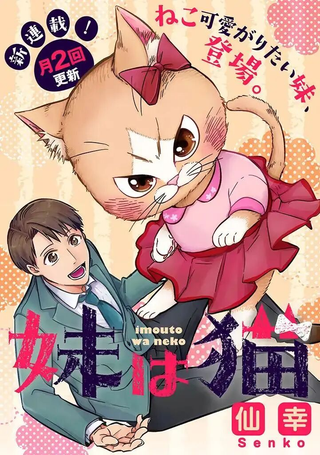 俺妹是猫