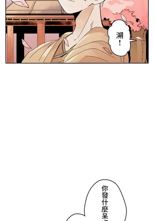 倾泻在沙漠中的龙之雨