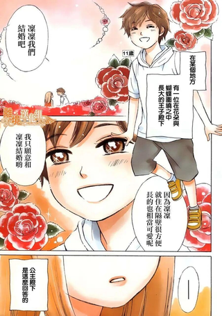 假面王子
