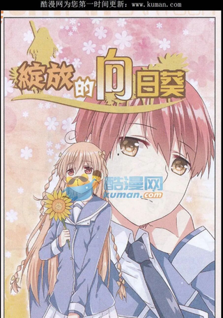 绽放的向日葵