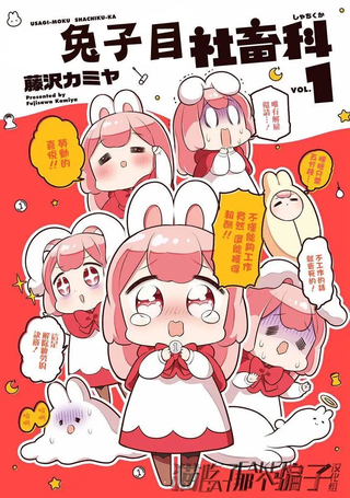 兔子目社畜科