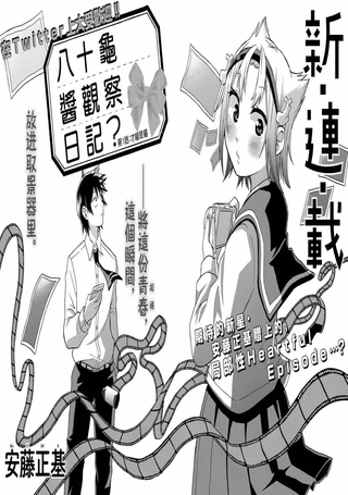 八十龟酱观察日记