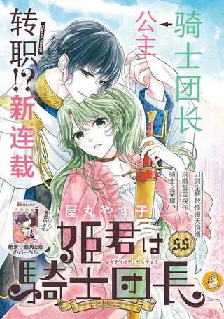 公主是骑士团长