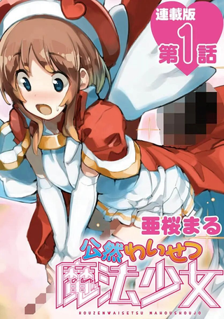 公然猥亵魔法少女