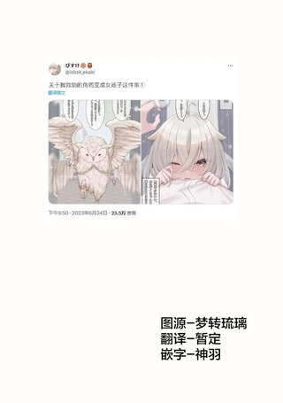 关于我救助的角鸮变成女孩子那件事