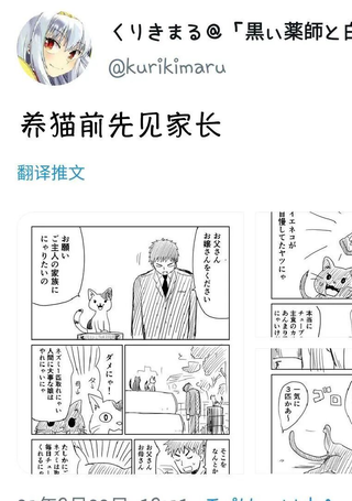 养猫前先见家长