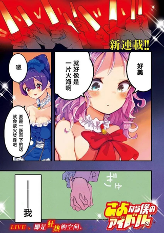 再见了我的偶像