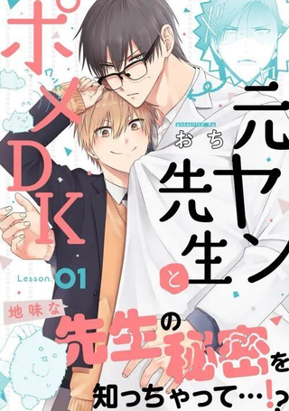 前不良教师与博美DK