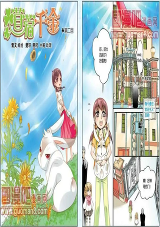 苜蓿千金