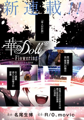 华Doll