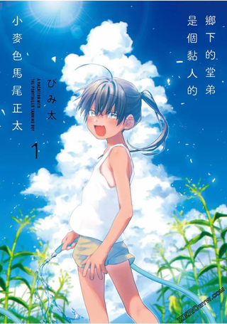 单马尾表弟