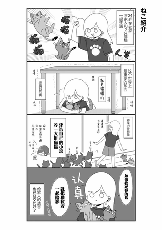 即使与世界为敌也要爱猫