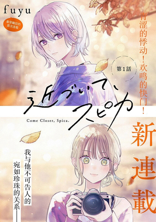 双星之恋 闪耀镜中