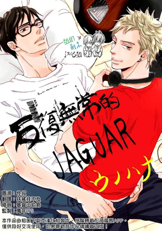反复无常的JAGUAR