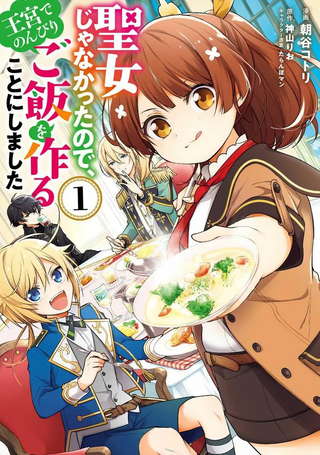 反正不是圣女在王宫里悠哉地做饭好了