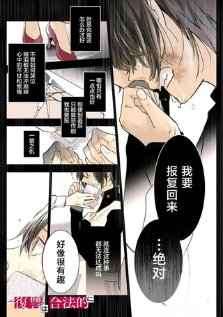 合法复仇屋