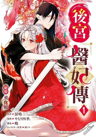 后宫医妃传