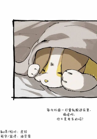 和来电汪一起住的人的自言自语