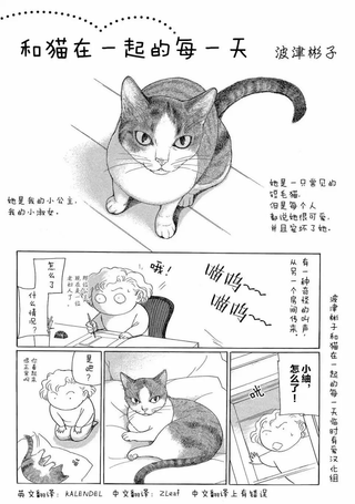 和猫在一起的每一天