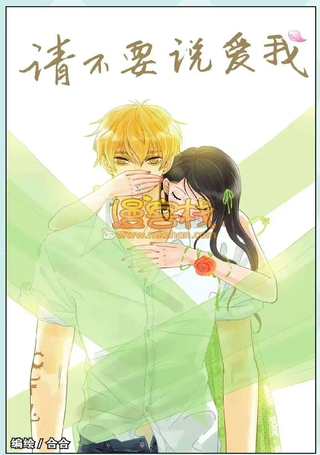 请不要说爱我