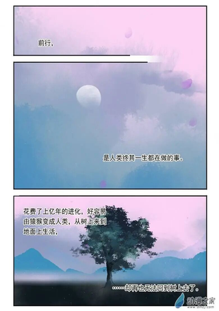 诸子37区