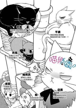 喵乐园！