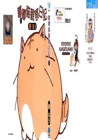 嘟嘟猫观察日记