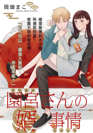 园宫小姐的天降赘婿