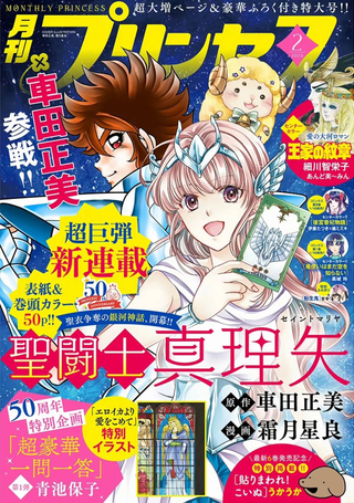 圣斗士真理矢