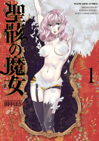 圣骸的魔女