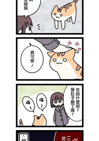 地球的主人是猫喵