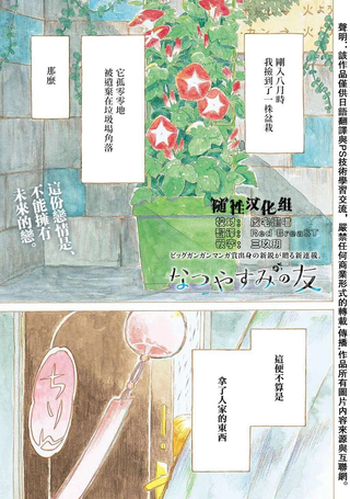 夏日的朋友