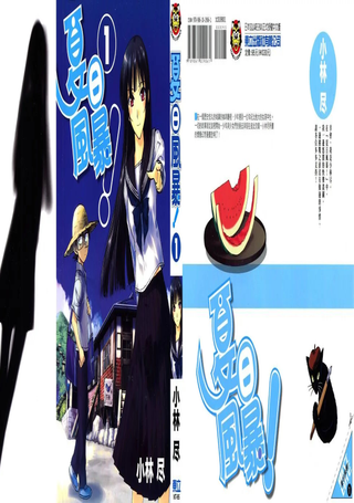 夏日风暴
