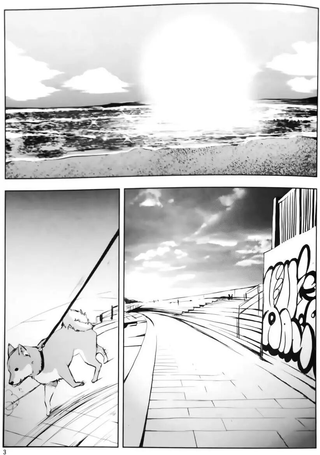夕辉海石