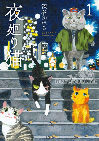 夜巡猫