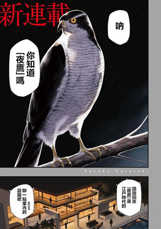 夜鹰再临