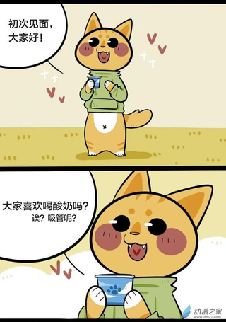 这个看脸的世界
