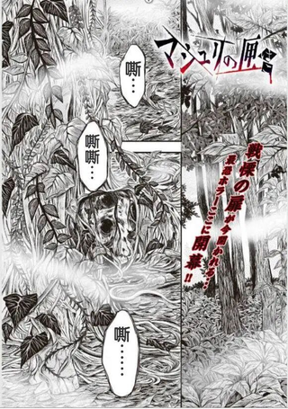 契约之匣