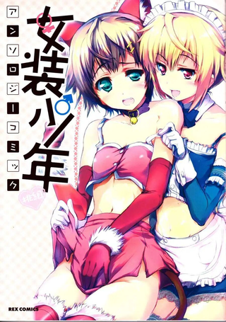 女装少年桃组