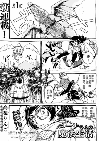妮娜小姐的魔法生活