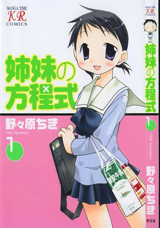 姐妹的方程式