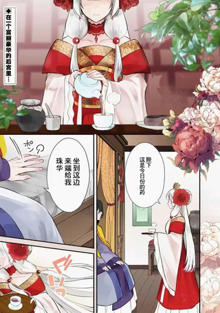 宫廷的女咒术师