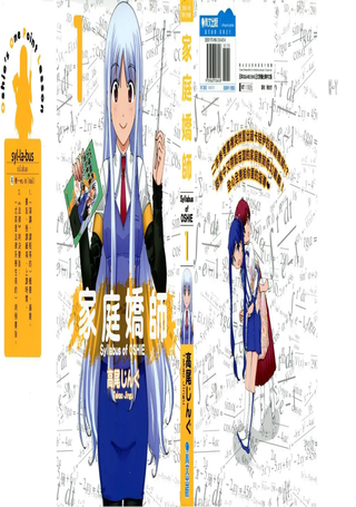 家庭娇师