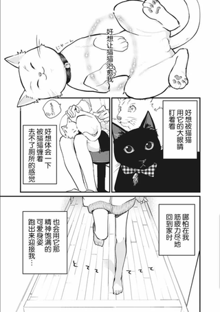 家有幼猫♂