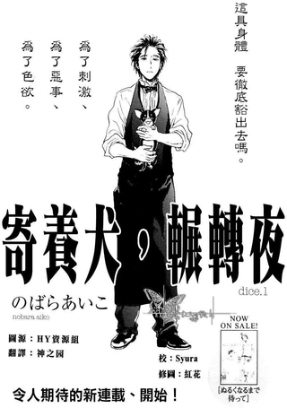 寄养犬、辗转夜
