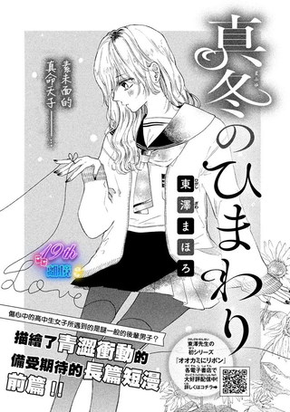 寒冬里的向日葵