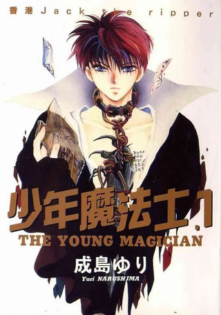 少年魔法士