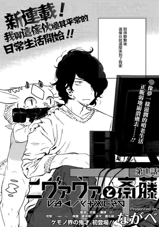 尼弗瓦与斋藤