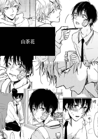 山茶花